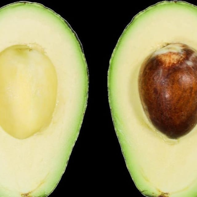 Avocado.